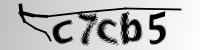 authCodeServlet